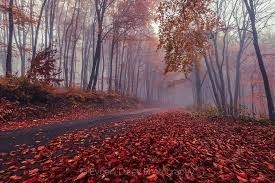 Времето днес: Мъгливо и със значителна облачност