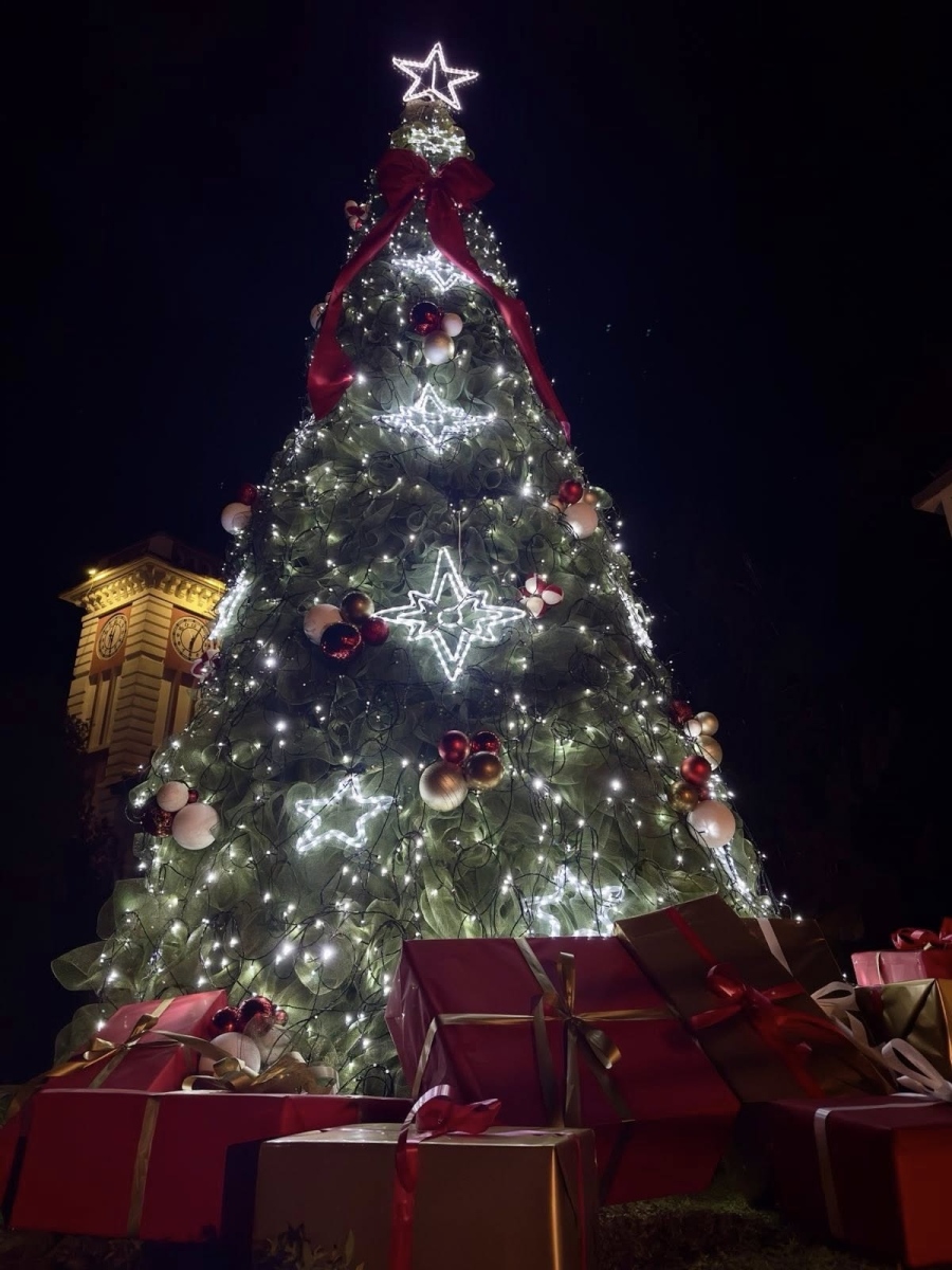 Грейнаха коледните светлини в Мизия