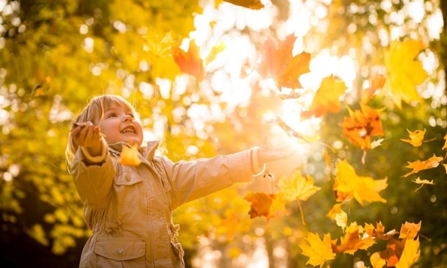 Предимно слънчево време в понеделник