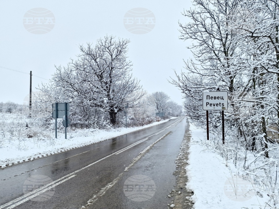 Движението по пътя Видин – Димово временно е в едната лента заради катастрофа
