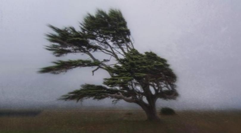 Вижте какво ще бъде времето днес