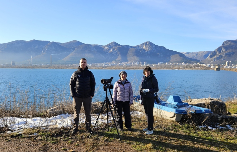 Голямо разнообразие от водолюбиви птици  в язовир Дъбника и  река Искър