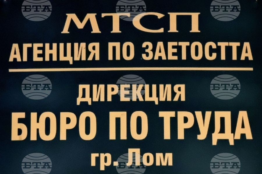 Свободно работно място за висококвалифициран специалист е обявено в Бюрото по труда в Лом