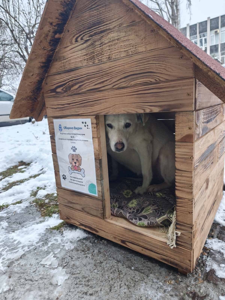 12 къщички за безстопанствени кучета са поставени във Видин