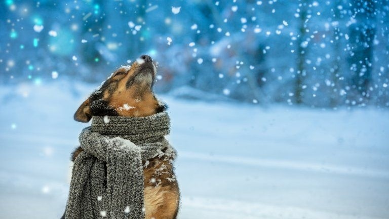 Вижте какво ще е времето днес