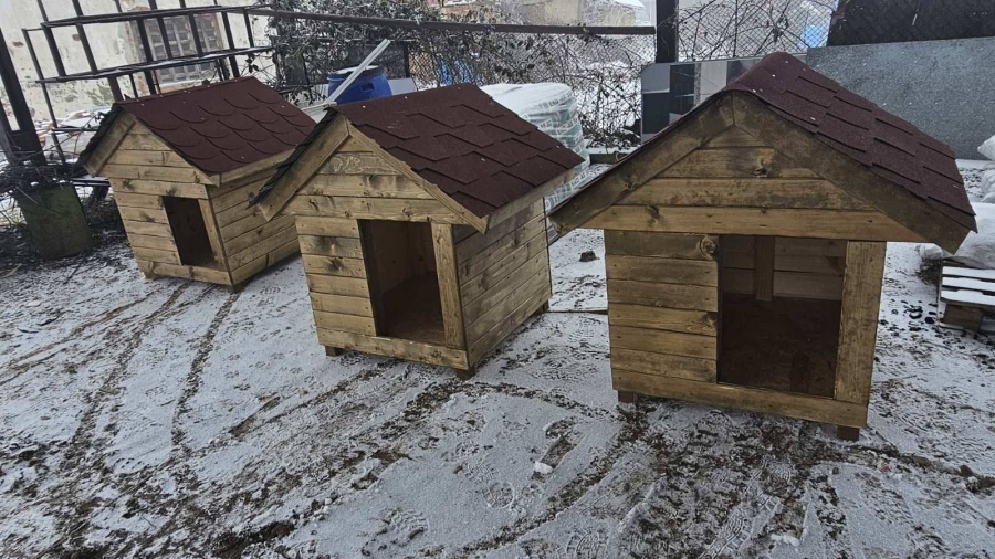 Къщичките за бездомните кучета на Белоградчик очакват своите „стопани“