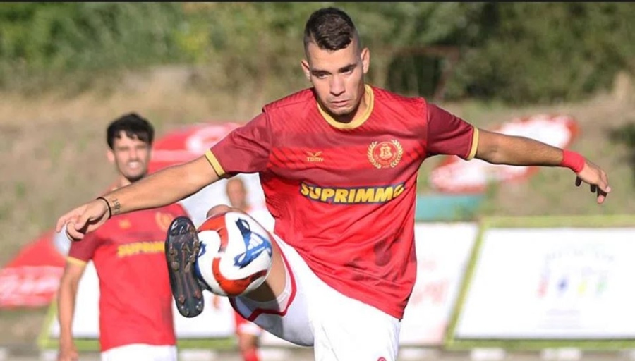 Бдин надви сърби