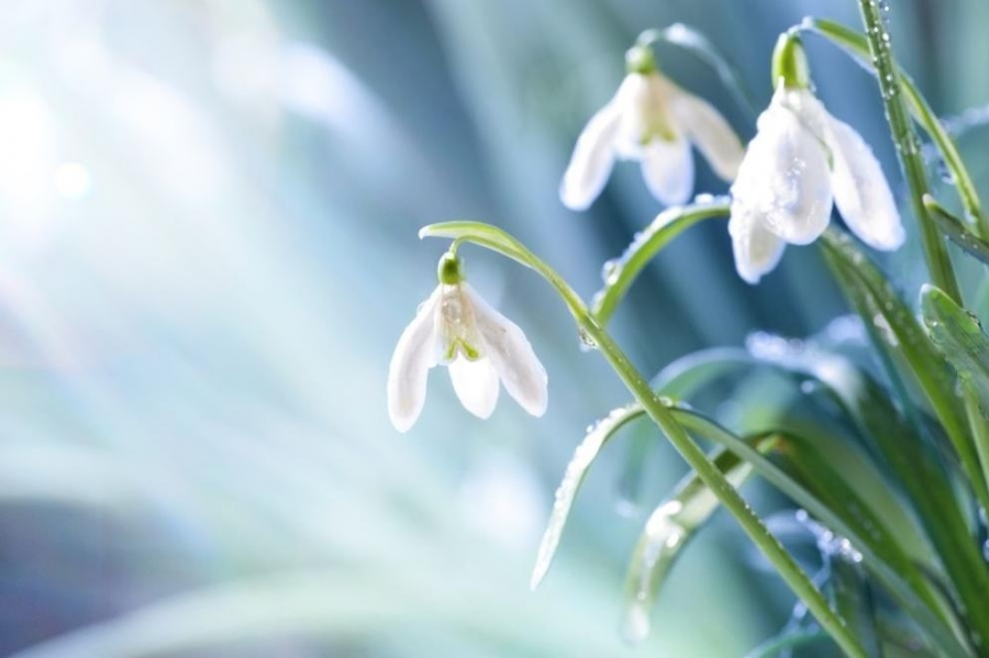 Предимно слънчево с температурите до 16 градуса на 14 февруари  