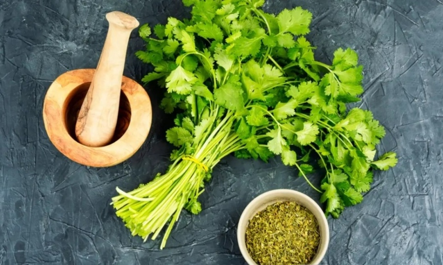 Изследване: Евтина подправка намалява вредния холестерол и високото кръвно налягане