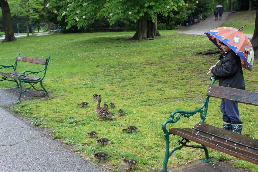 Времето днес: Предимно облачно, с валежи на места