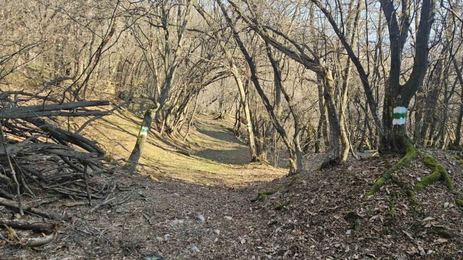 Край Белоградчик правят пешеходен парк „Зелениград\