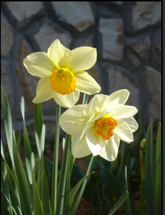 Вижте с какво време започва седмицата
