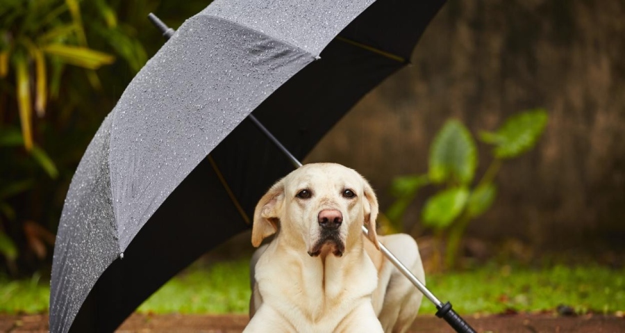 Вижте какво време ни очаква днес