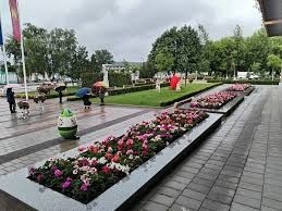 Община Криводол обяви явен търг