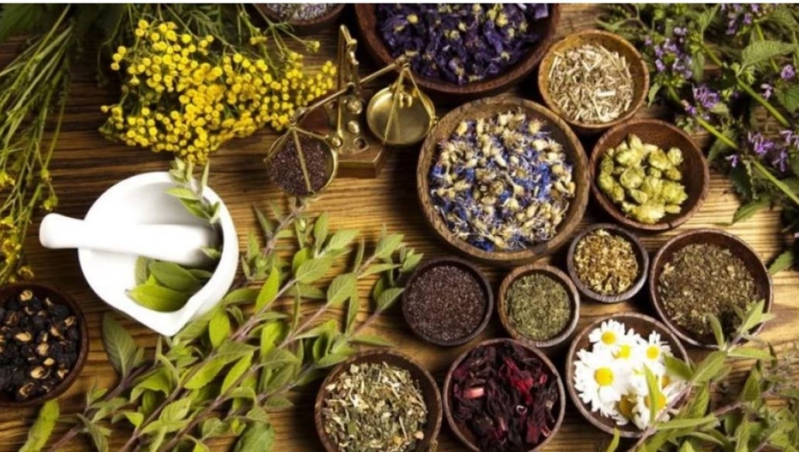 Тези билки прочистват белите дробове и спират кашлицата по естествен път