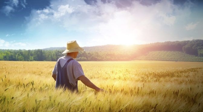 Дават по 40 000 евро на млади фермери 