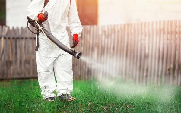 От днес започва пръскането срещу кърлежи и бълхи във Враца