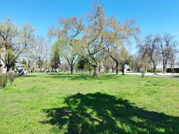 Община Видин кани своите най-малки граждани и техните родители да участват в засаждането на дръвчета