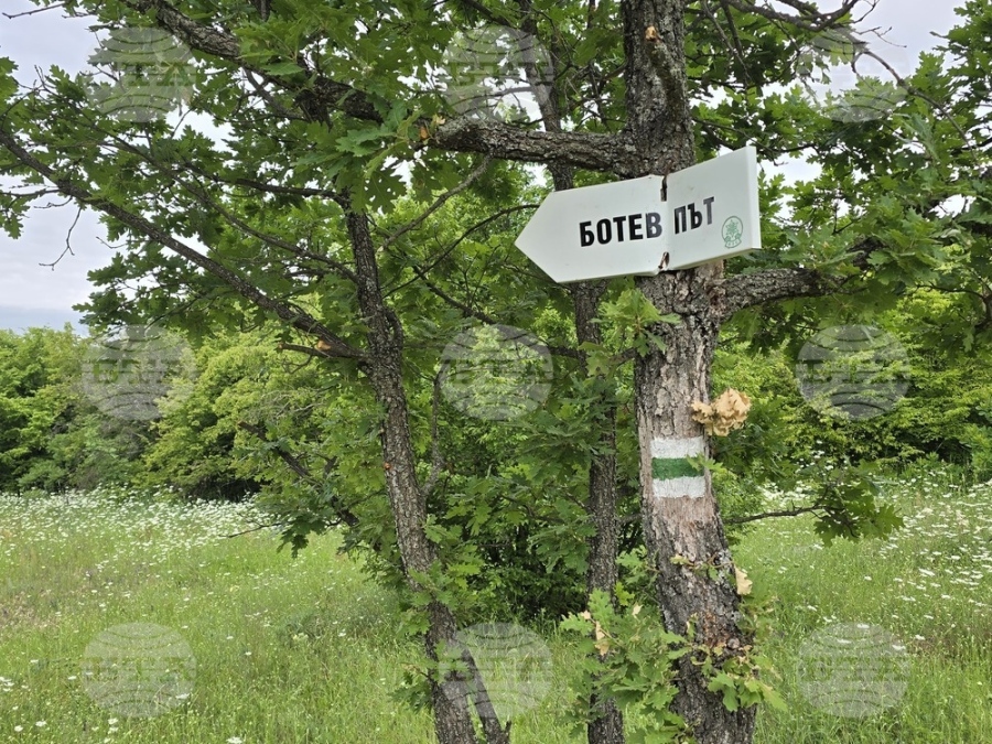 Подменят информационни табла по Ботевия път от Козлодуй до Околчица