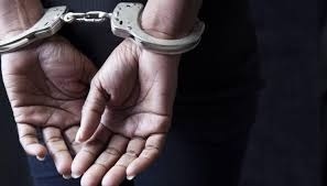 Задържаха 54-годишна жена за кражба във Видинско