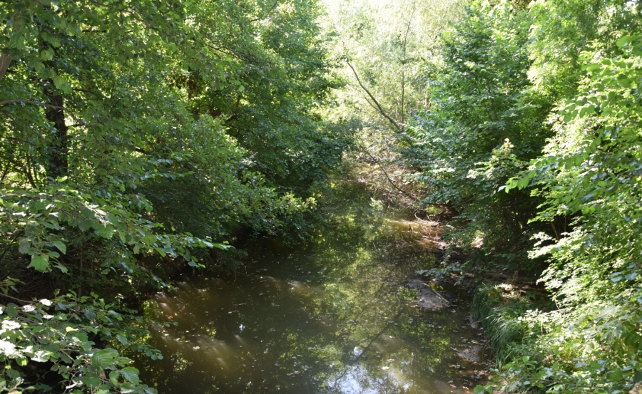 Проверяват състоянието на Дунавските диги, отводнителни помпени станции към тях и коригираните речни участъци в област Видин