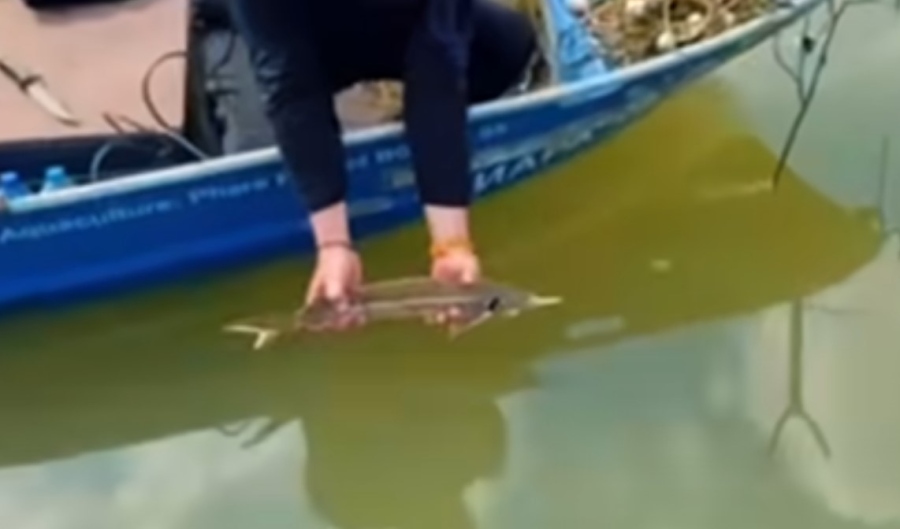 ИАРА участва в зарибяване и поредица от проверки в района на язовир \