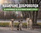 Община Видин набира доброволци за преброяване на безстопанствените кучета