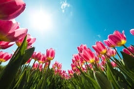 Вижте какво време ни очаква днес