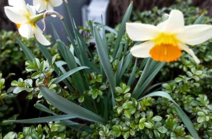 В събота ни очават температури до 25°