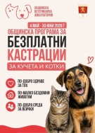 Община Козлодуй започва провеждането на мащабна кампания за безплатна кастрация на кучета и котки