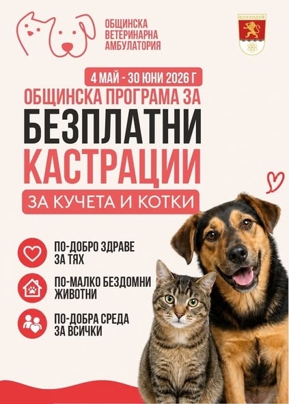 Община Козлодуй започва провеждането на мащабна кампания за безплатна кастрация на кучета и котки