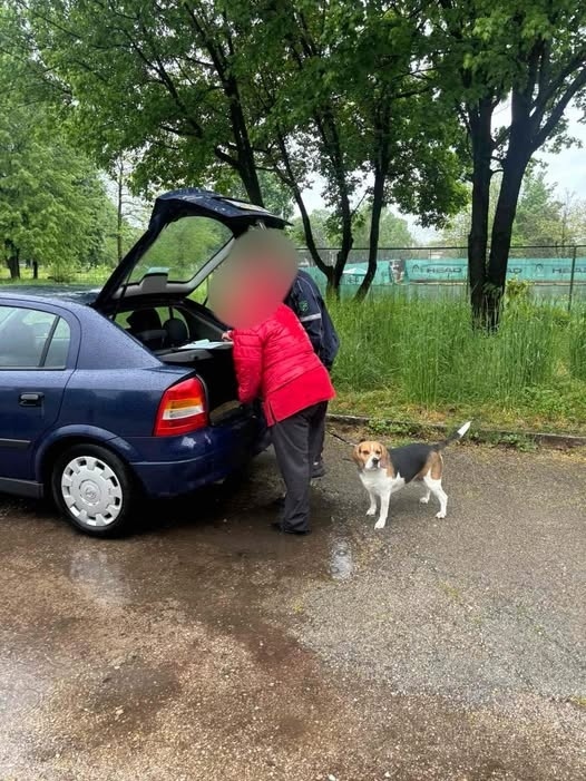 19 акта са състави от Инспектората във Враца за седмица