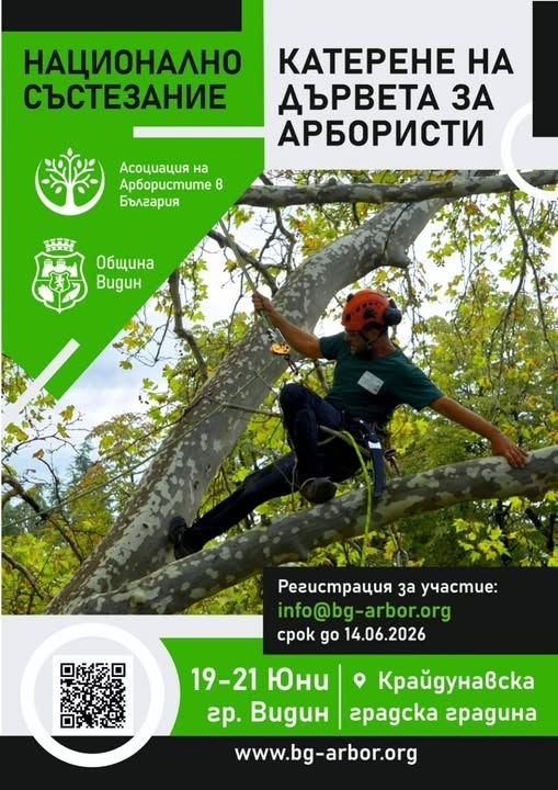 Във Видин организират „Катерене на дървета за арбористи“