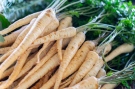 Сладък вкус и много ползи: Какво трябва да знаем за пащърнака