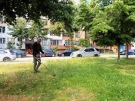 Продължава поддържането на зелените площи във Враца