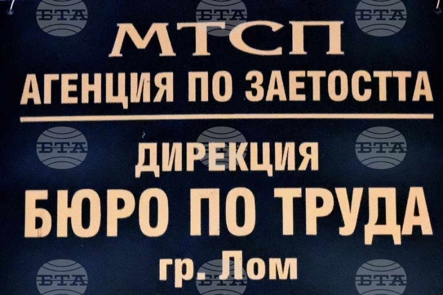 Бюрото по труда в Лом обяви 25 свободни работни места за висококвалифицирани специалисти