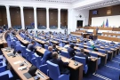 Росица Кирова е най-заможният депутат от Видин, има ниви из цялата страна