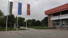 Продават лозе на търг в землището на Криводол