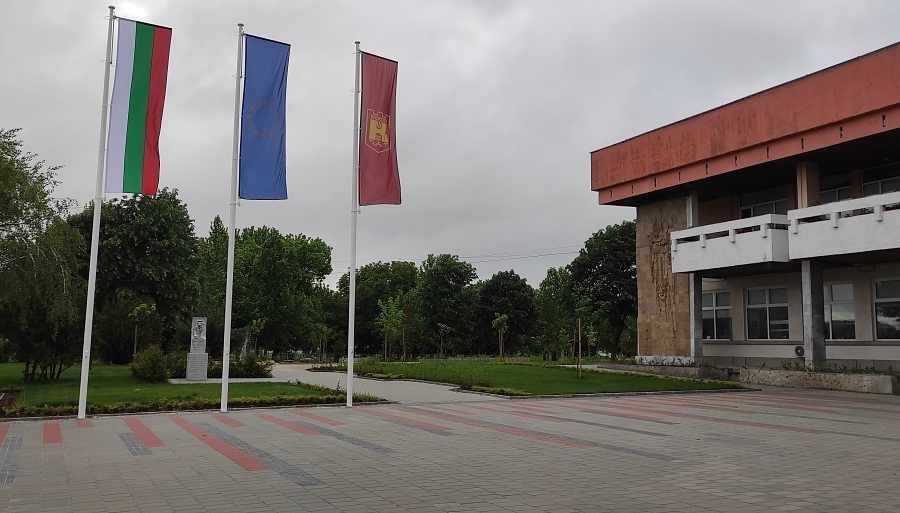 Продават лозе на търг в землището на Криводол