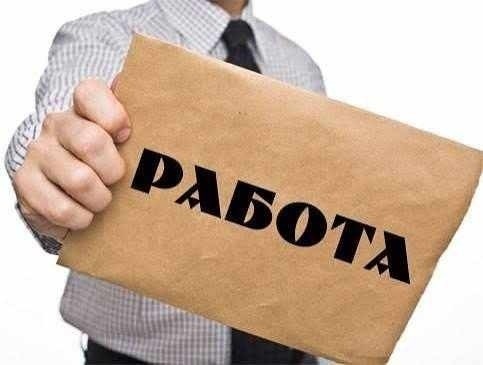 Търсите работа т във Видин? Вижте всички свободни работни позиции 