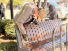 Продължават дейностите по поддръжката на градската среда във Враца