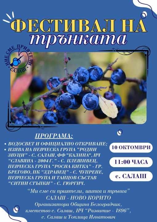 Община Белоградчик осигурява превоз за Фестивала на трънката