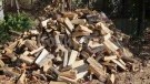 Откриха незаконни дърва на три адреса във Вършец