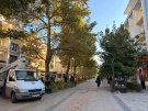 Извършва се оформяне на короните на дърветата по централната пешеходна зона